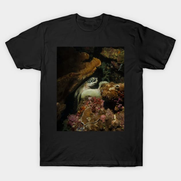 A Green Turtle Snoozes on the Reef T-Shirt by jbbarnes